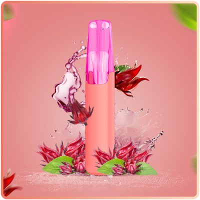 SNOWPLUS DASH 4000 & HIBISCUS ICE TEA
